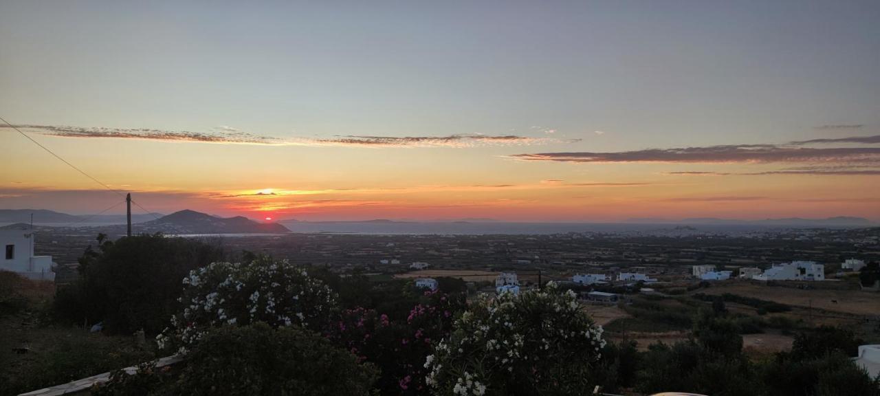 Villa Di Sergio Glinado Naxos Exteriör bild